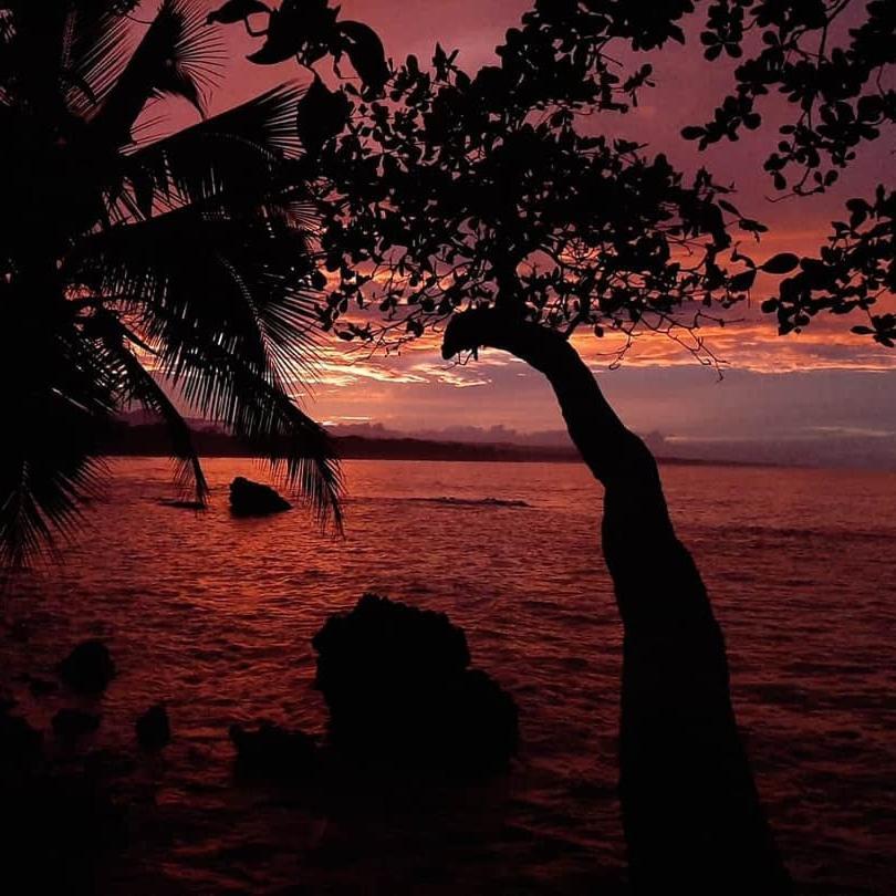 Cahuita Inn Екстериор снимка