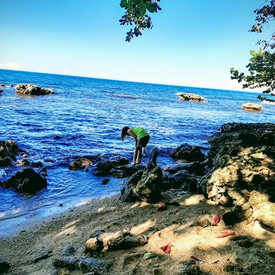 Cahuita Inn Екстериор снимка