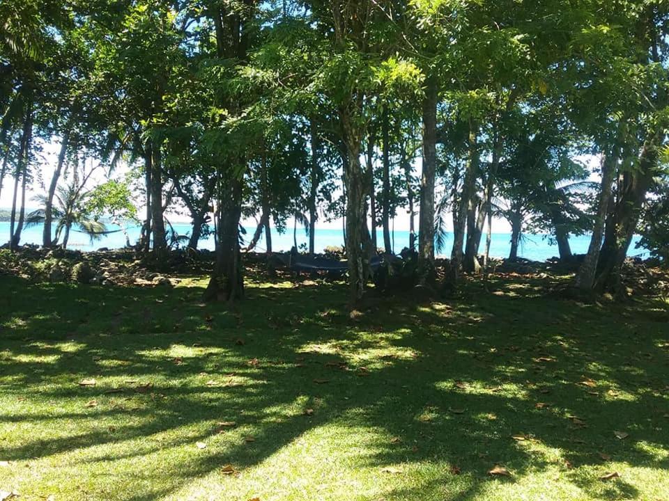 Cahuita Inn Екстериор снимка